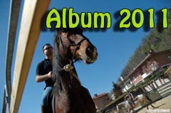 Album 2011