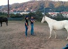 Junior